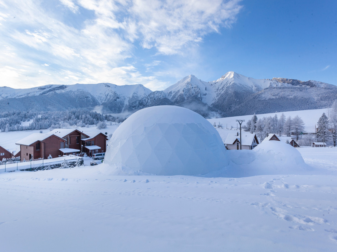 Apartments Mountain Resort主图