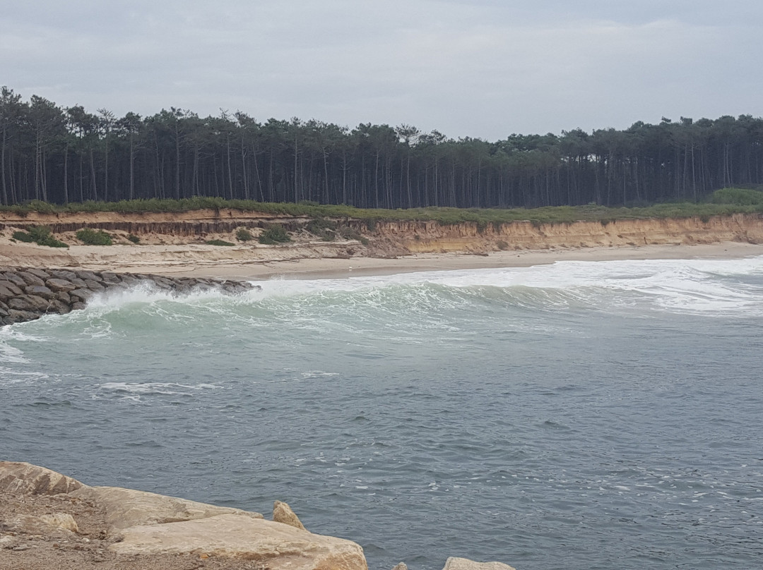 Praia de São Pedro de Maceda景点图片