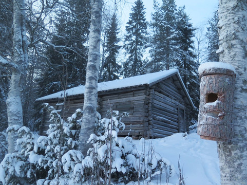 Forestry Museum of Lapland-罗瓦涅米必去景点
