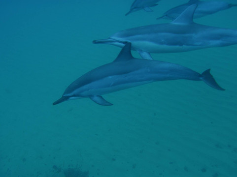 Z Tourz-可洛亚必去景点