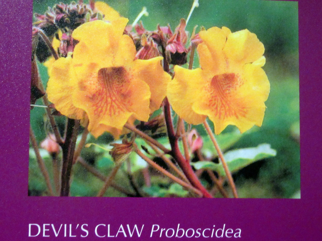 Lake Havasu Museum of History-哈瓦苏湖城必去景点