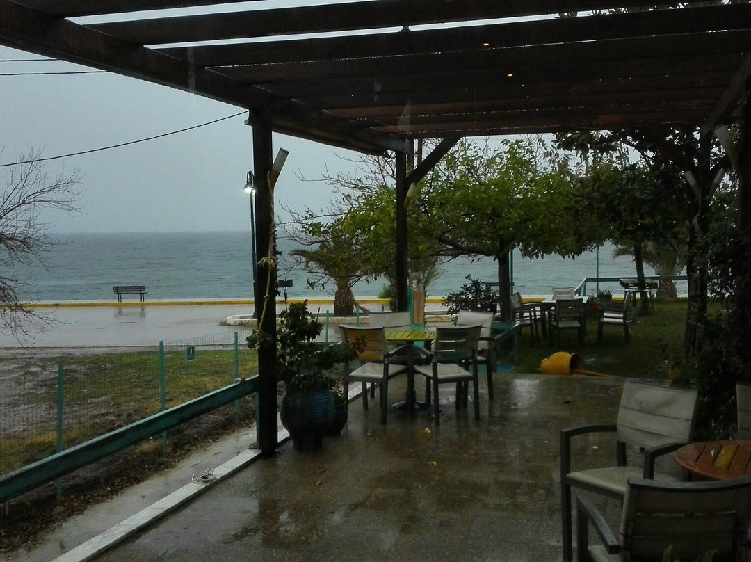 Livanates餐馆和美食-Vythos