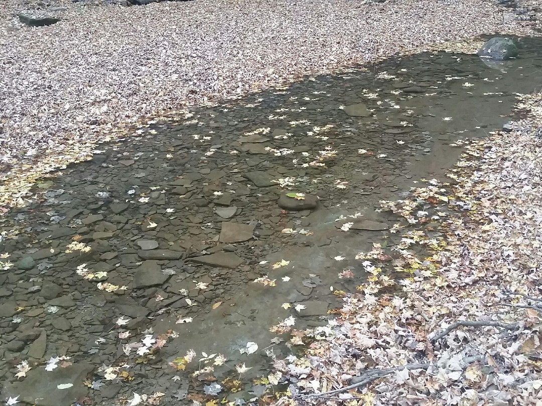 Wooster Memorial Park-Wooster必去景点