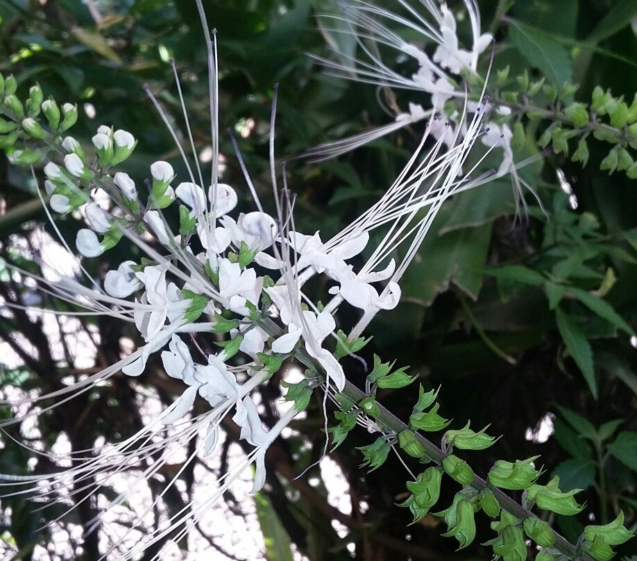 Ubud Bike Adventure-昂格桑必去景点