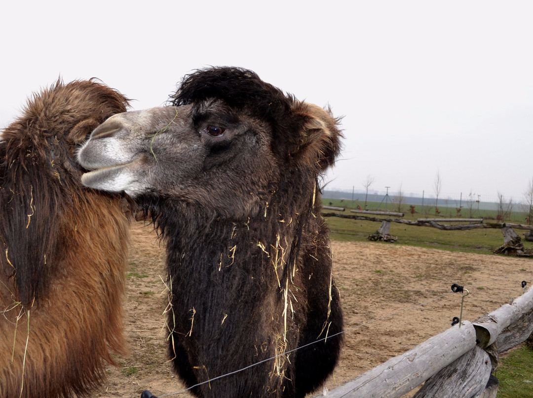 ZOO Chleby-Chleby必去景点