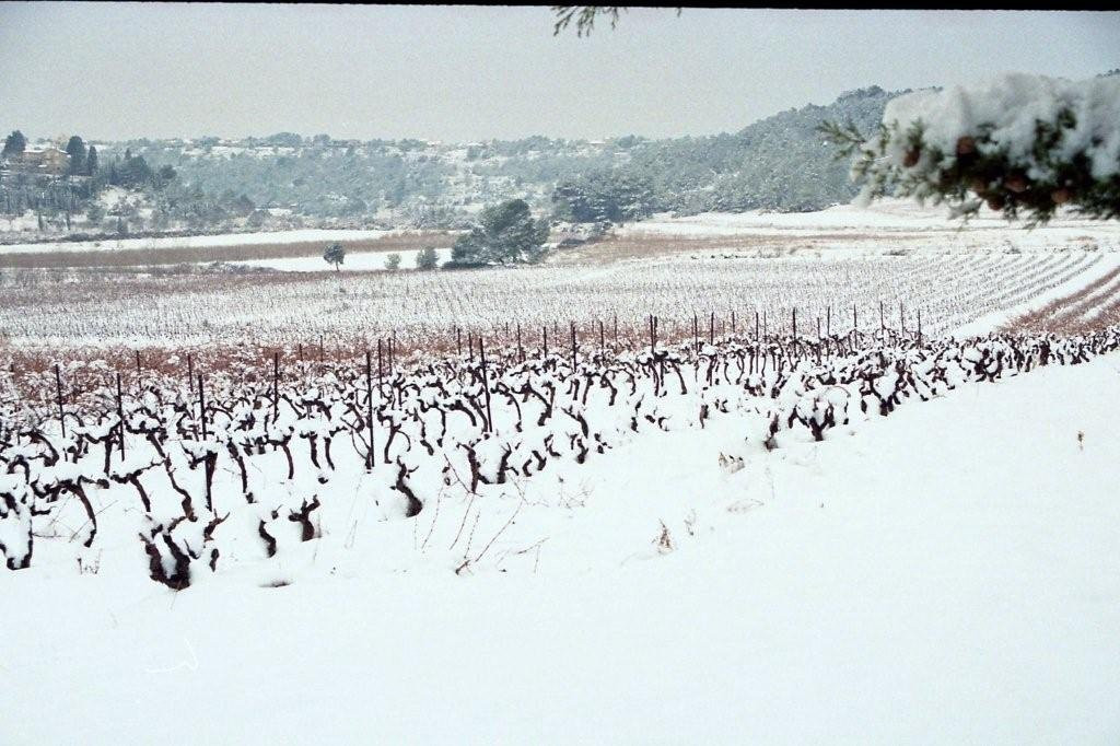 Domaine Maspiquet-Grabels必去景点