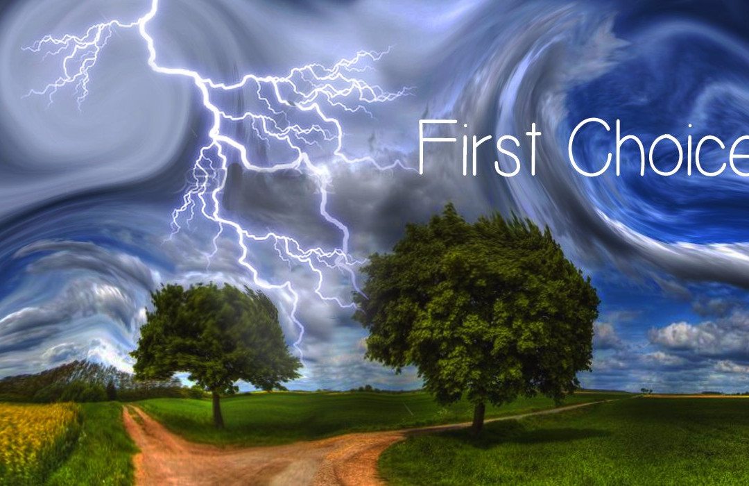 The Loophole-乌特勒支必去景点