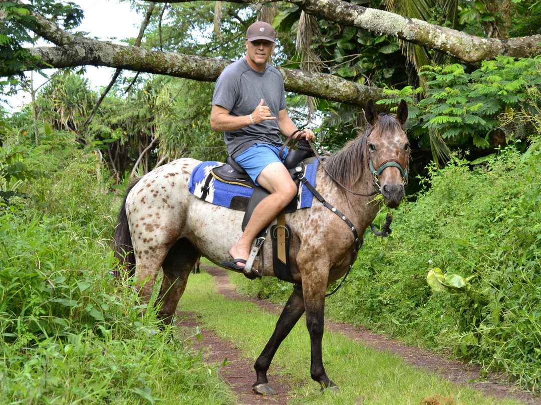 Silver Crest Farms-Kapoho必去景点