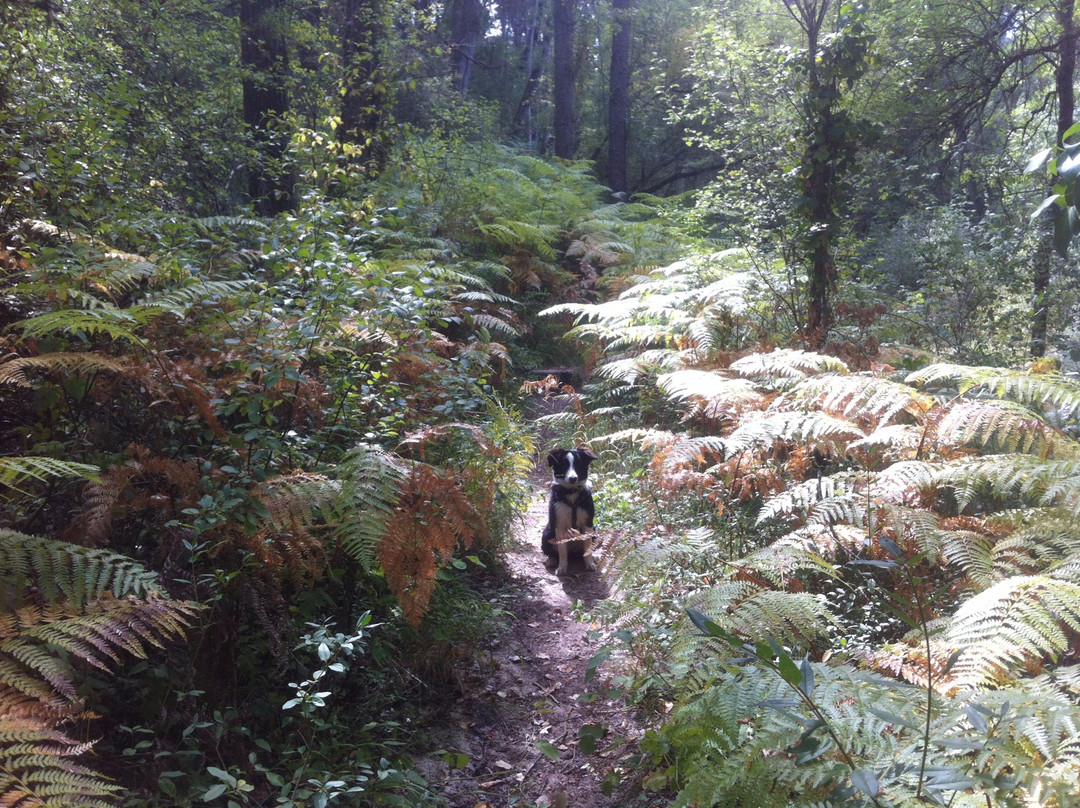 La Senda de los Pescadores-Cuellar必去景点