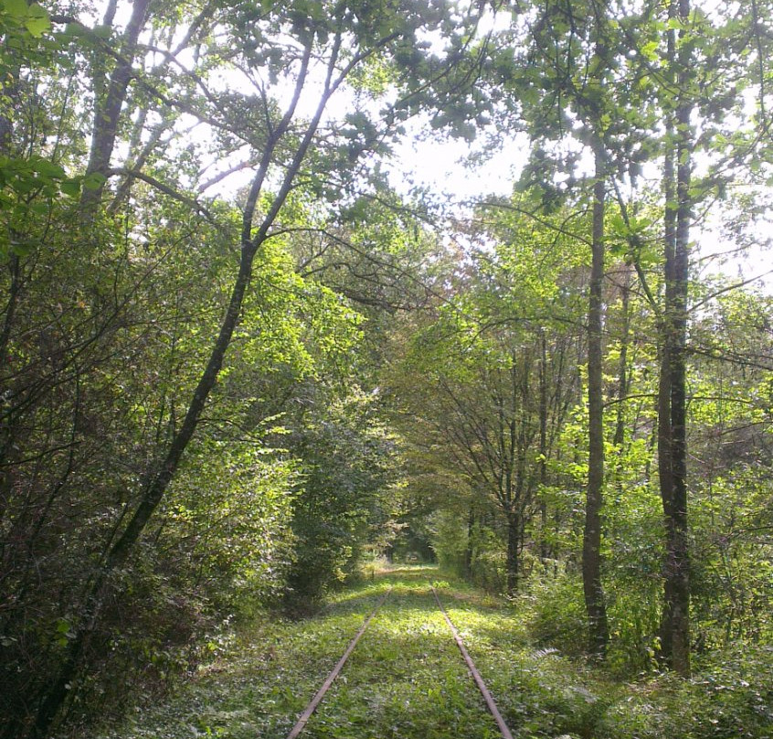 Vélorail du Val de Mortagne景点图片