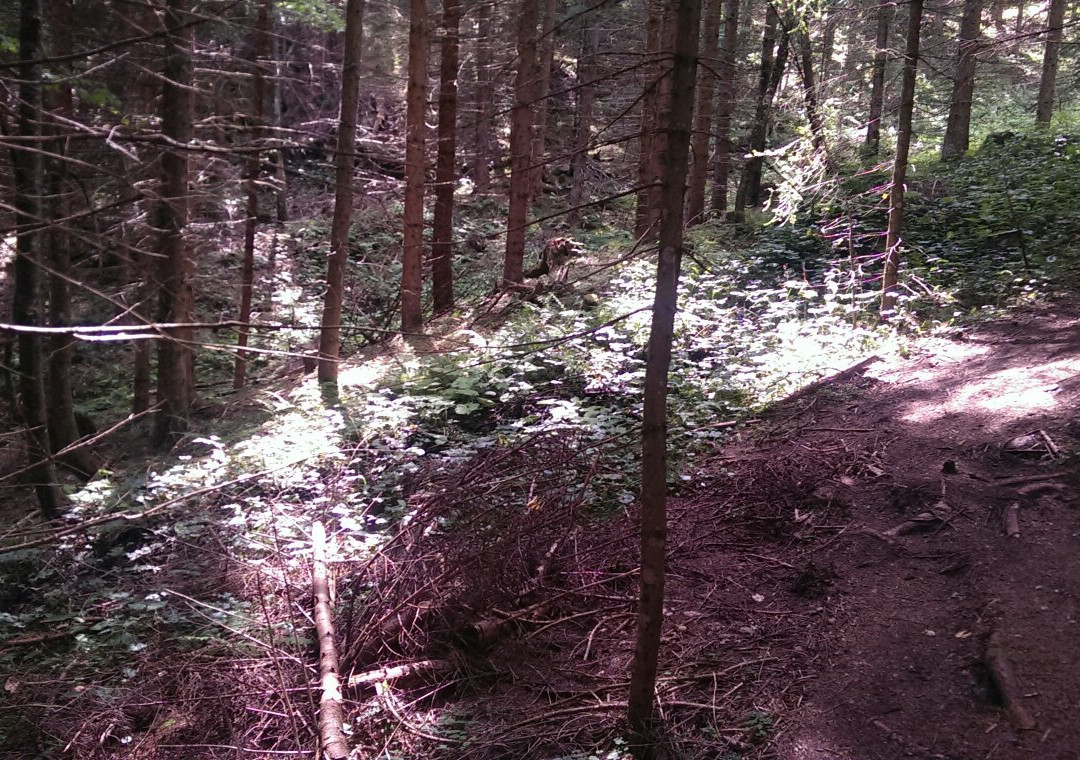 Reiteralm-Pichl必去景点
