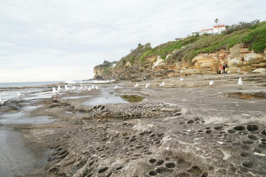 Manly Freshwater Parish-曼利议会必去景点