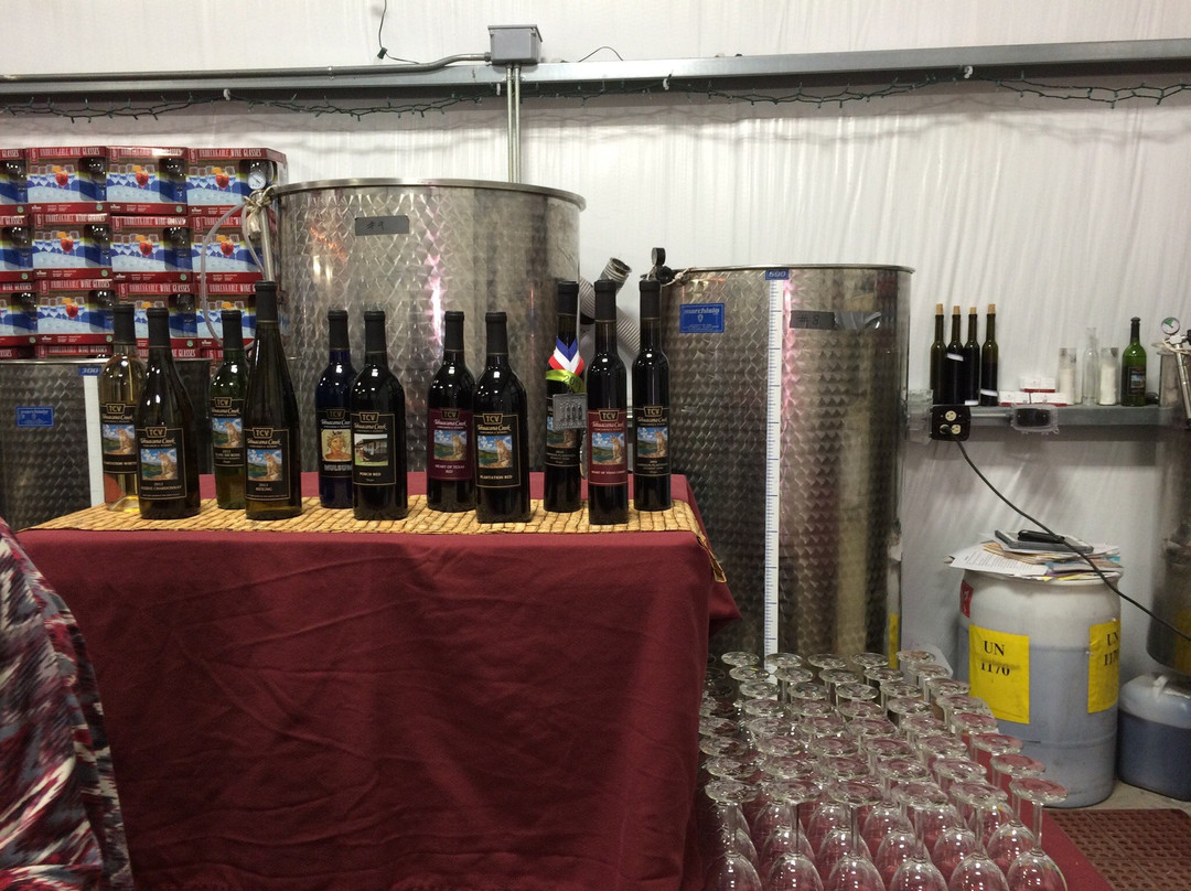 Waco Winery & Vineyards-韦科必去景点