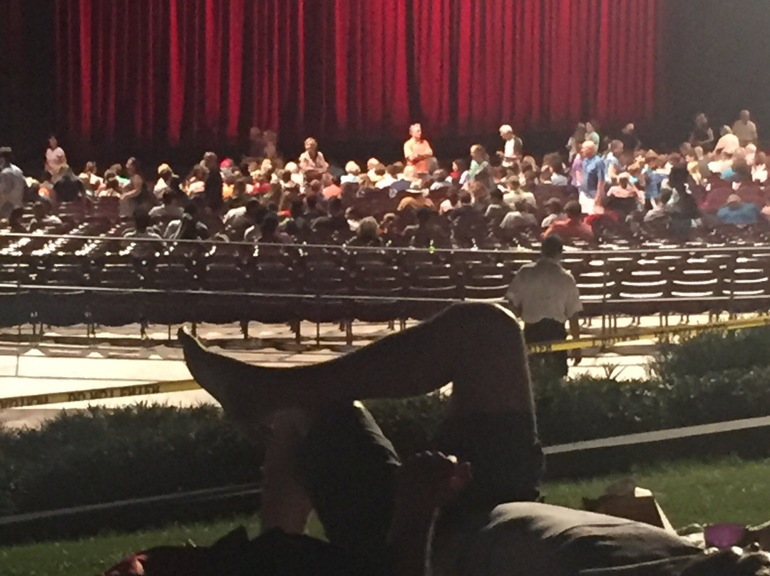 米勒露天剧院-休斯顿必去景点