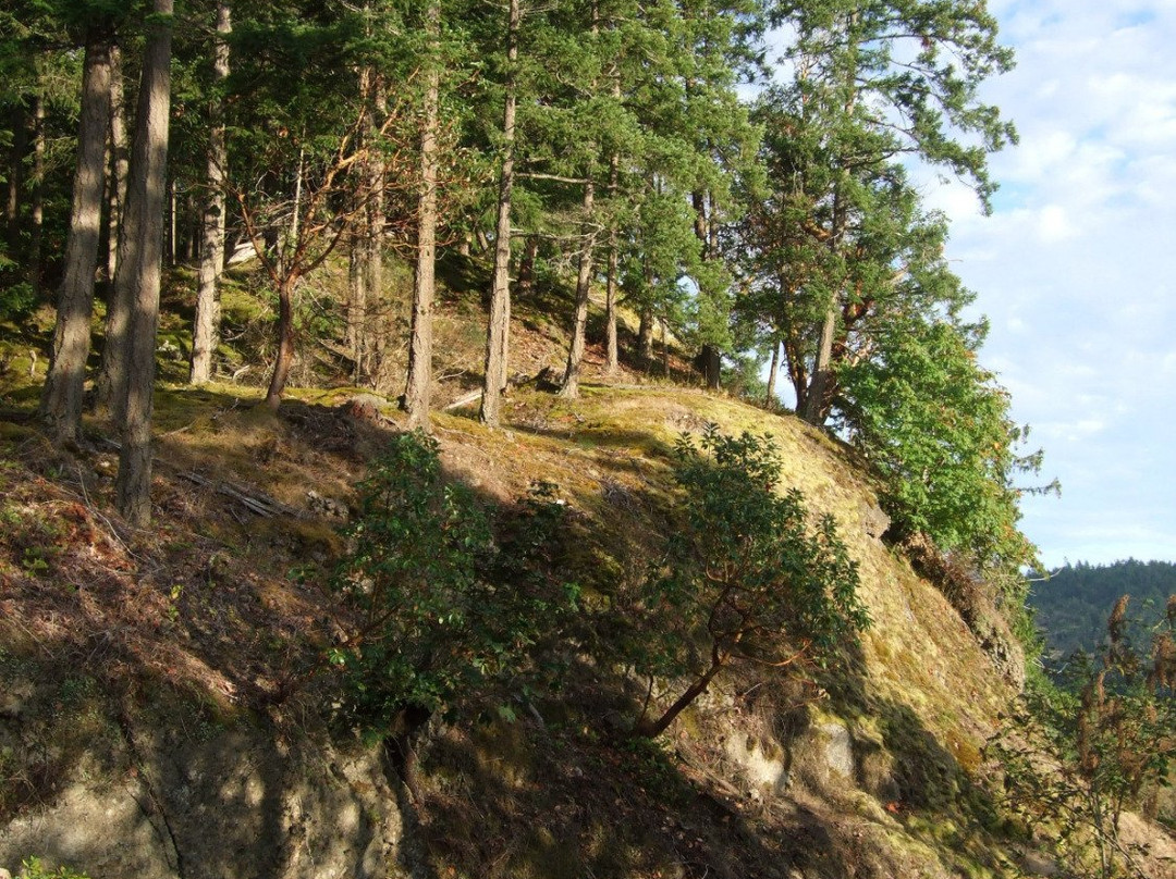 Fernhill Bed and Breakfast主图