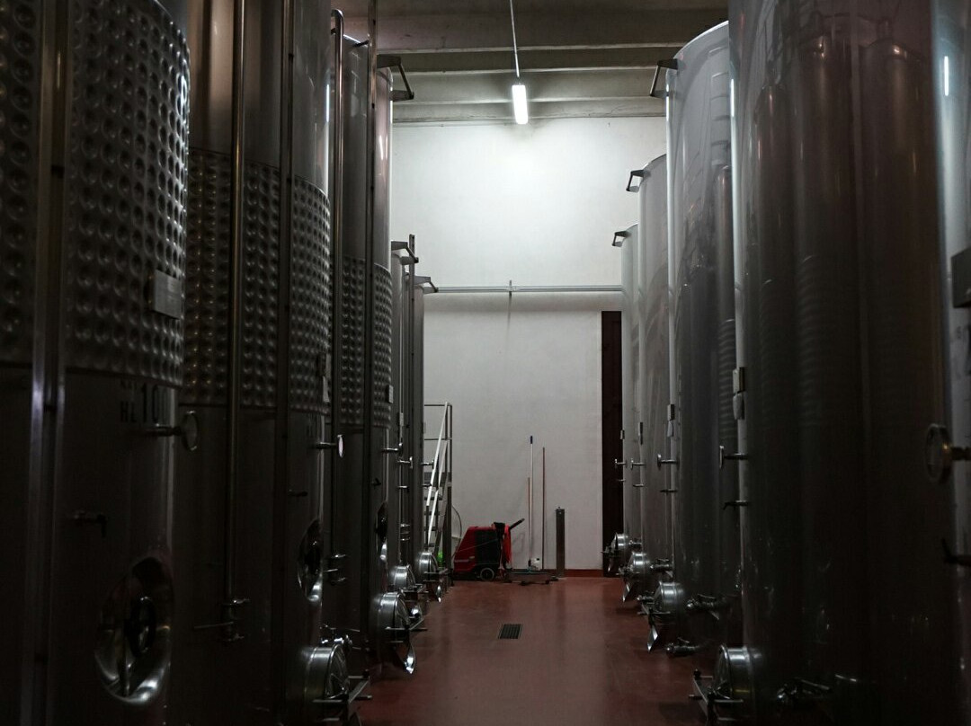 Azienda Agricola Losi Querciavalle景点图片