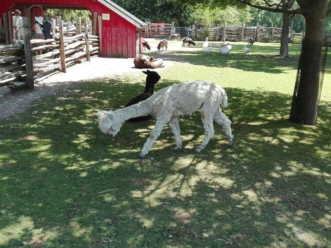 Far Enough Farm-多伦多必去景点