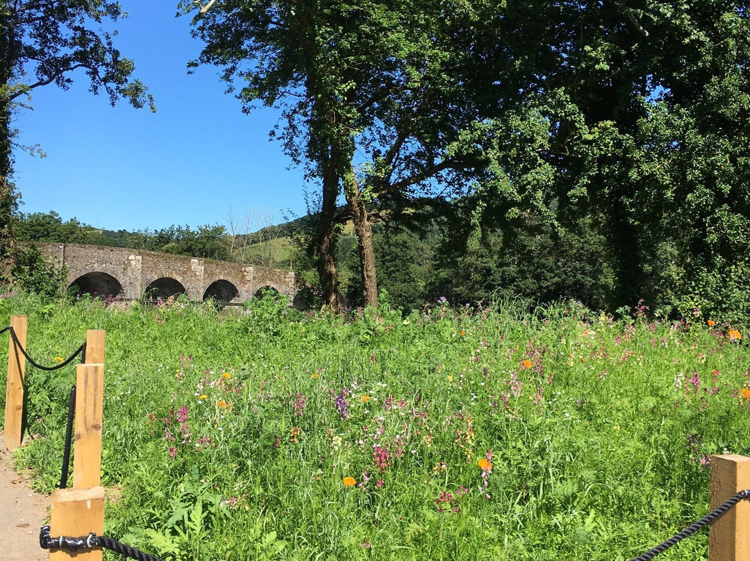 Ballincollig Regional Park-科克必去景点