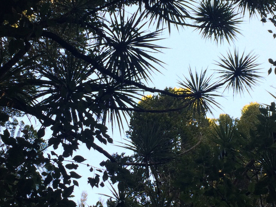 Barrett Domain Walkway-新普利默斯必去景点