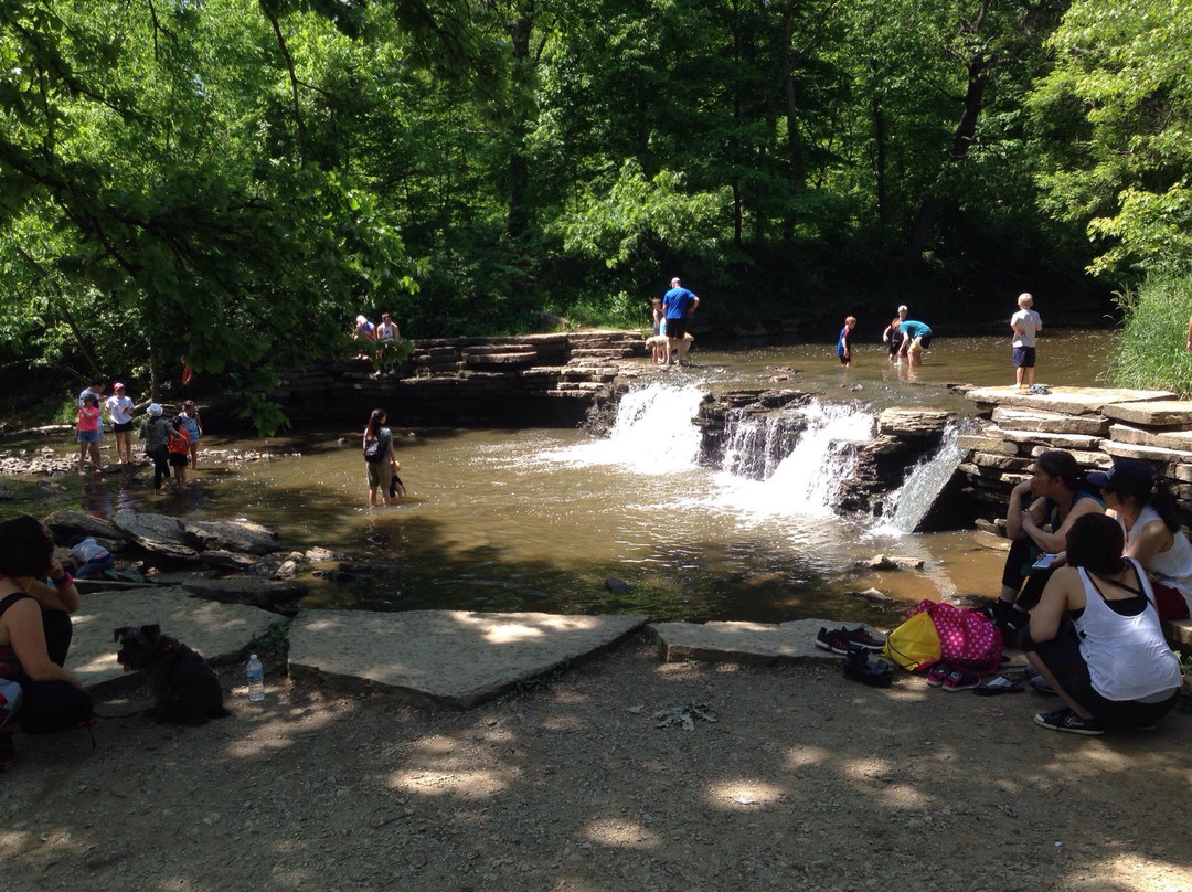 Waterfall Glen Forest Preserve-Darien必去景点