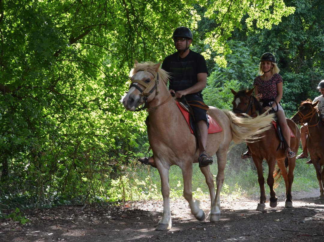 Pinar Horse Safari景点图片