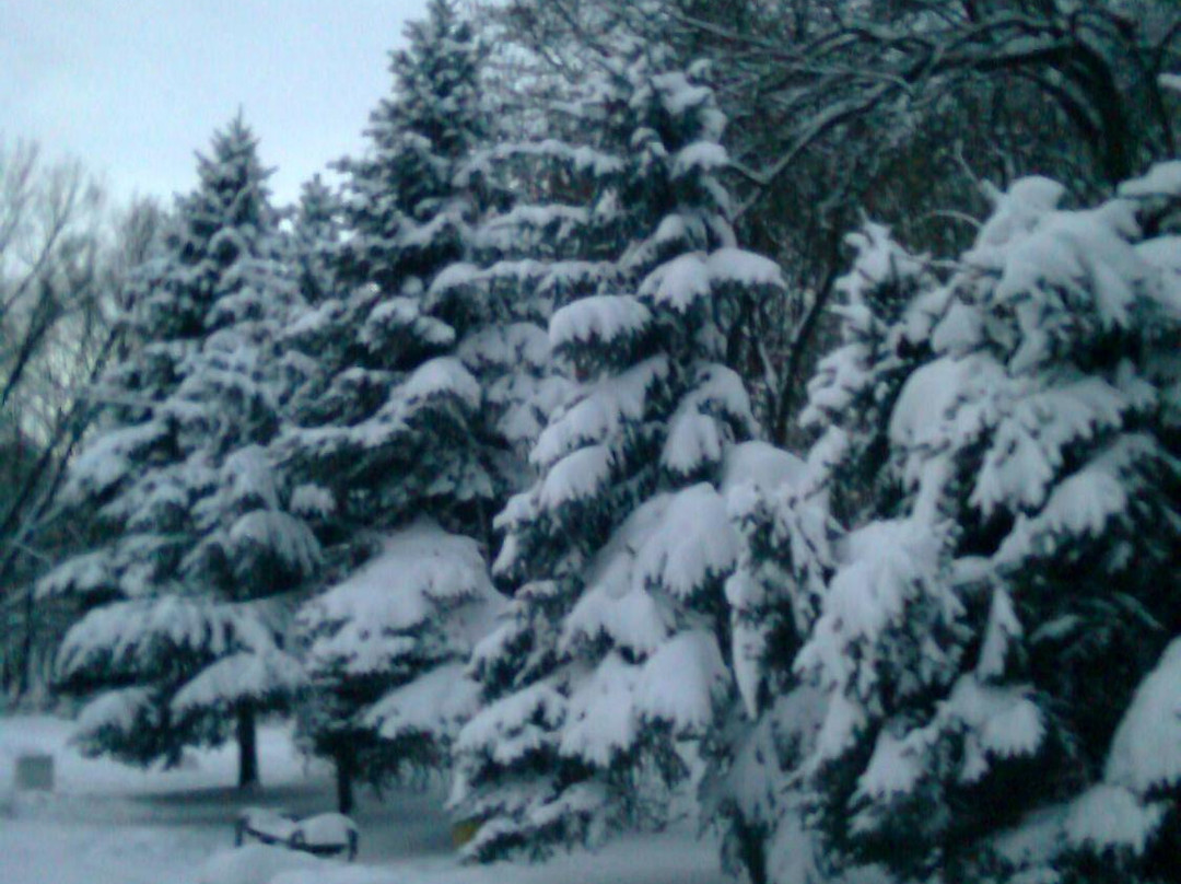 Parcul Alunelul-基希讷乌必去景点