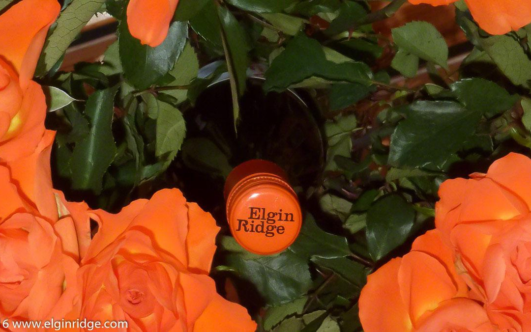 Elgin Ridge Wines-Elgin必去景点