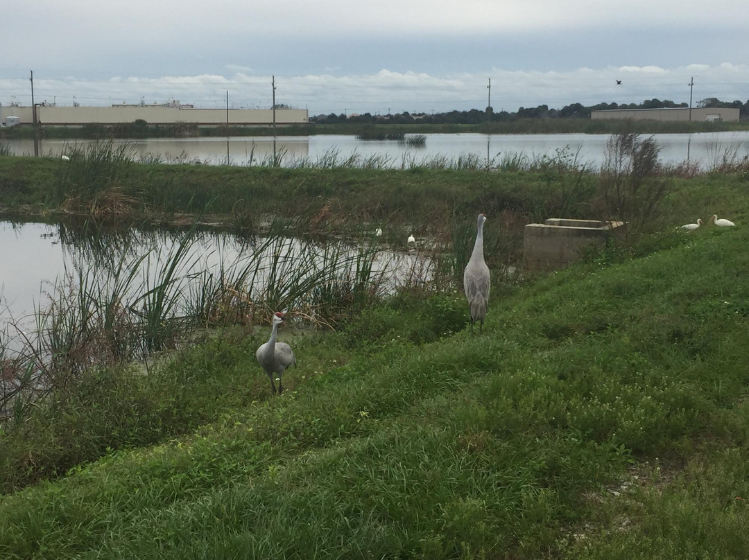 Indian River County wetlands-维罗海滩必去景点