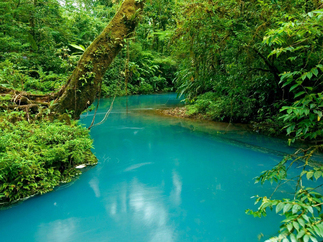 Tenorio Sky Blue Adventures景点图片