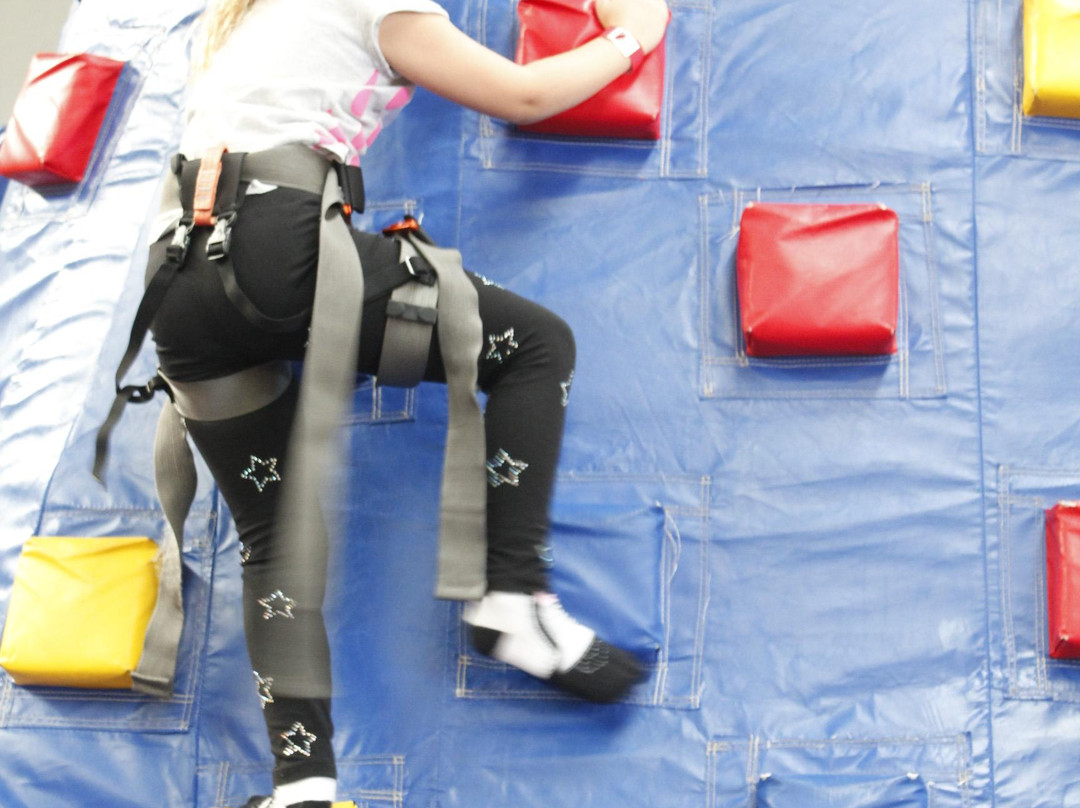 Bounce and Beyond-奥克兰中心地区必去景点