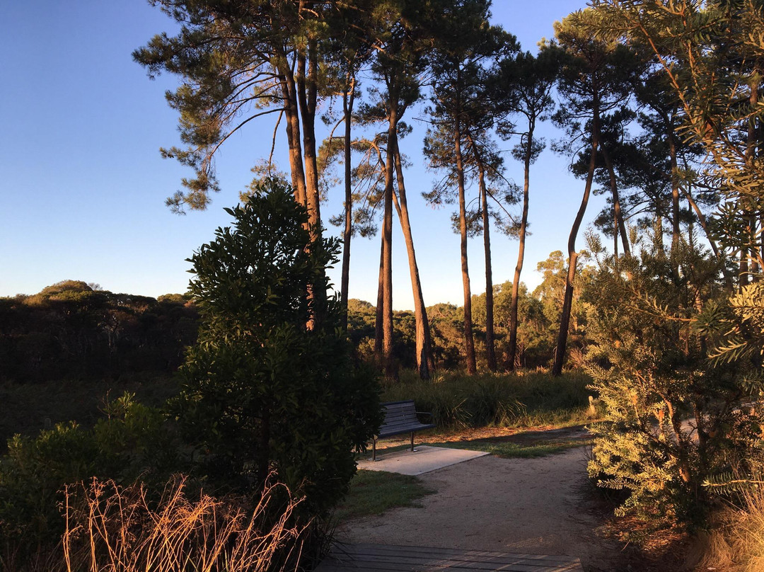 The Grange Reserve - UFO Park景点图片