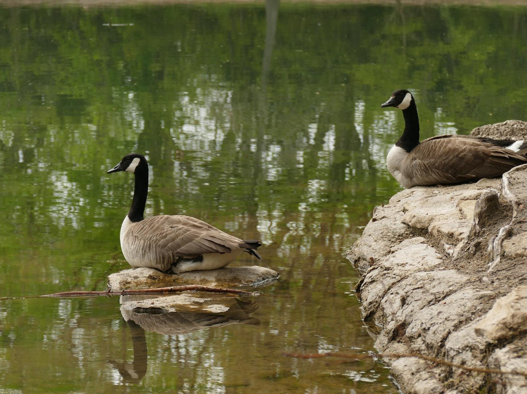 Dillon Nature Center-Hutchinson必去景点