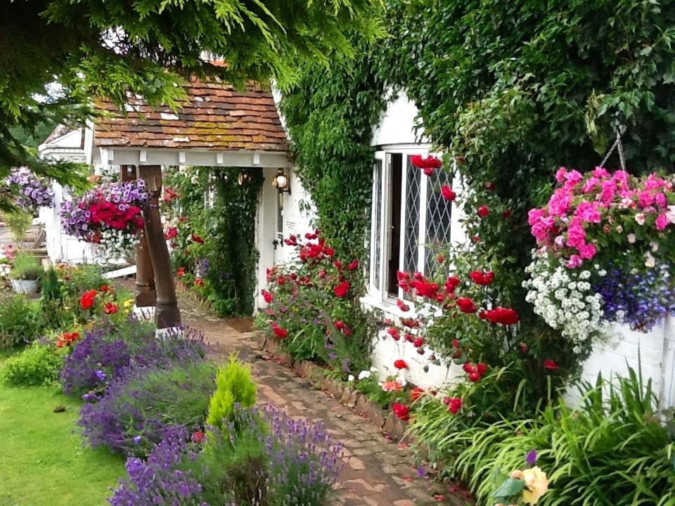 The Anchor Inn & Boating