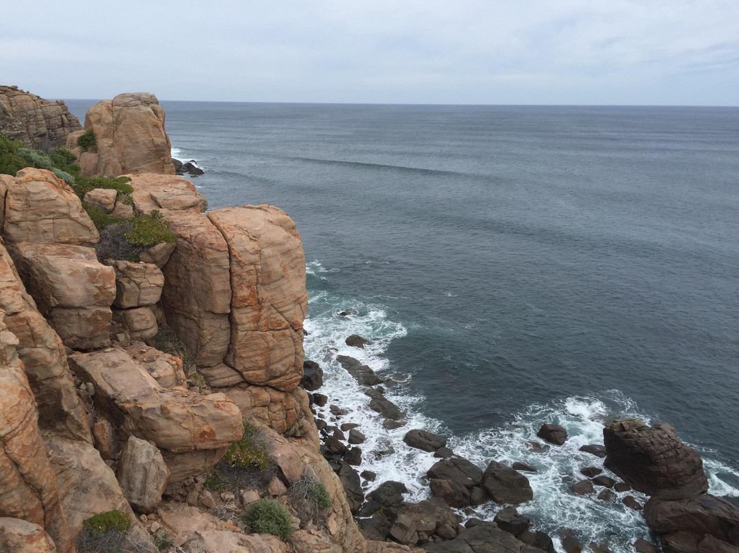 Margaret River Nature Tours-玛格丽特河必去景点