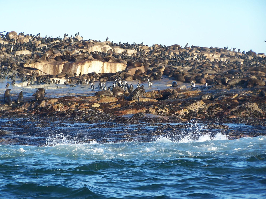Cape Visits-西门镇必去景点