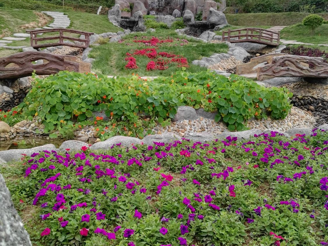 永记生态园-惠东县必去景点