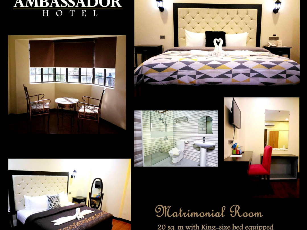 The Ambassador Hotel主图