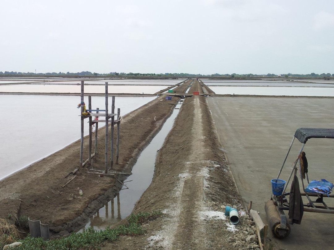 Salt Evaporation Pond-龙仔厝必去景点