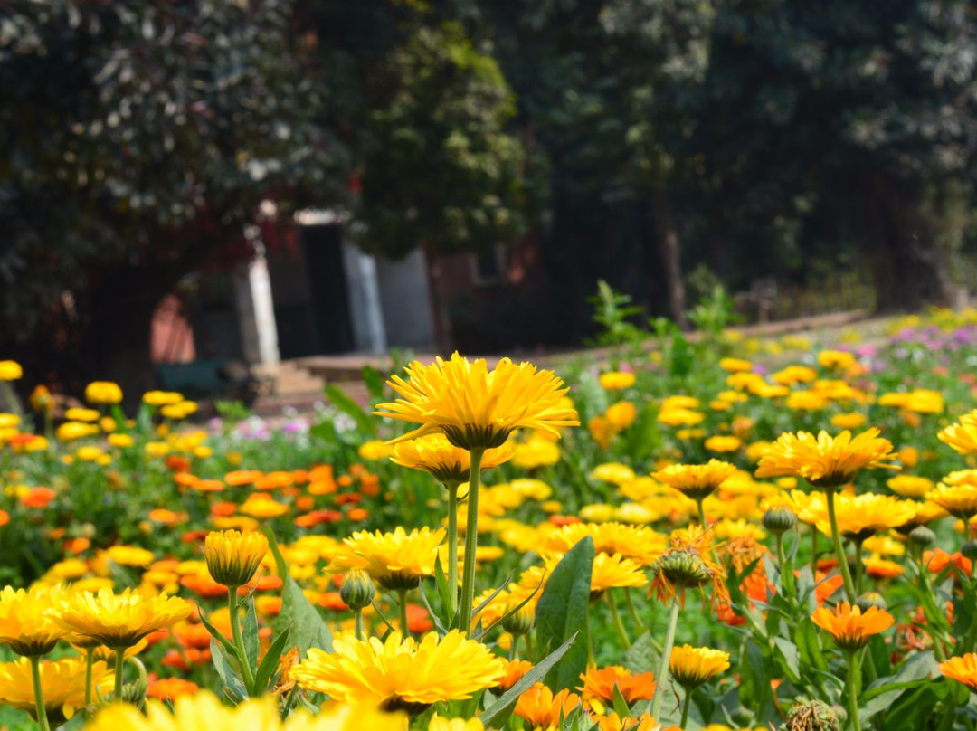 Baradari Garden景点图片