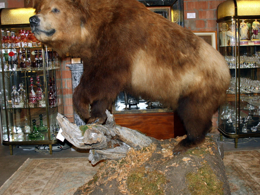 Larry Jackson Fine Art & Antiques-弗雷德里克斯堡必去景点