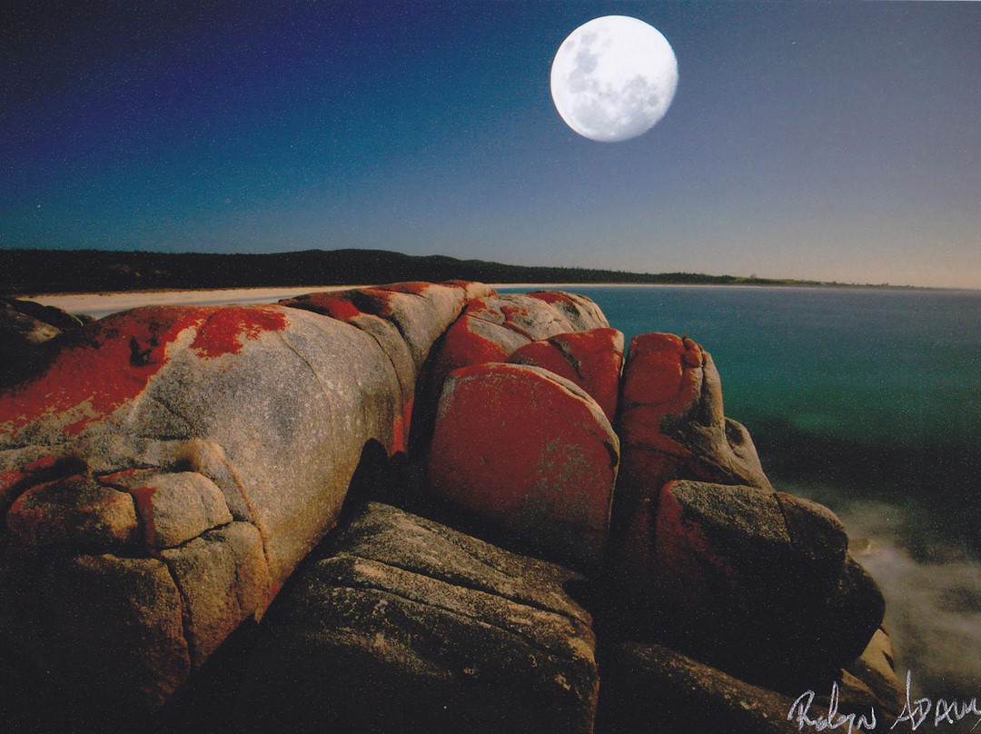 Elemental Artspace-德洛兰恩必去景点