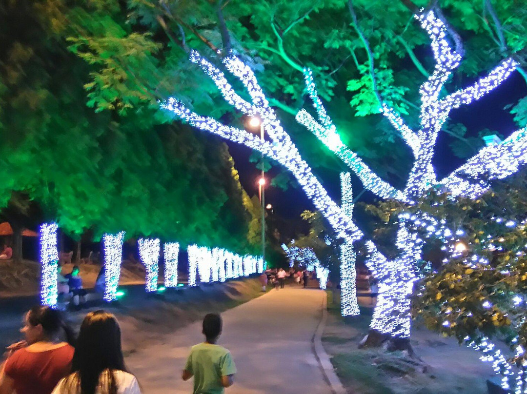 Bosque Maia-瓜鲁柳斯必去景点