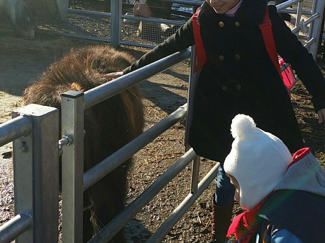 Brooks Farm-伦敦必去景点