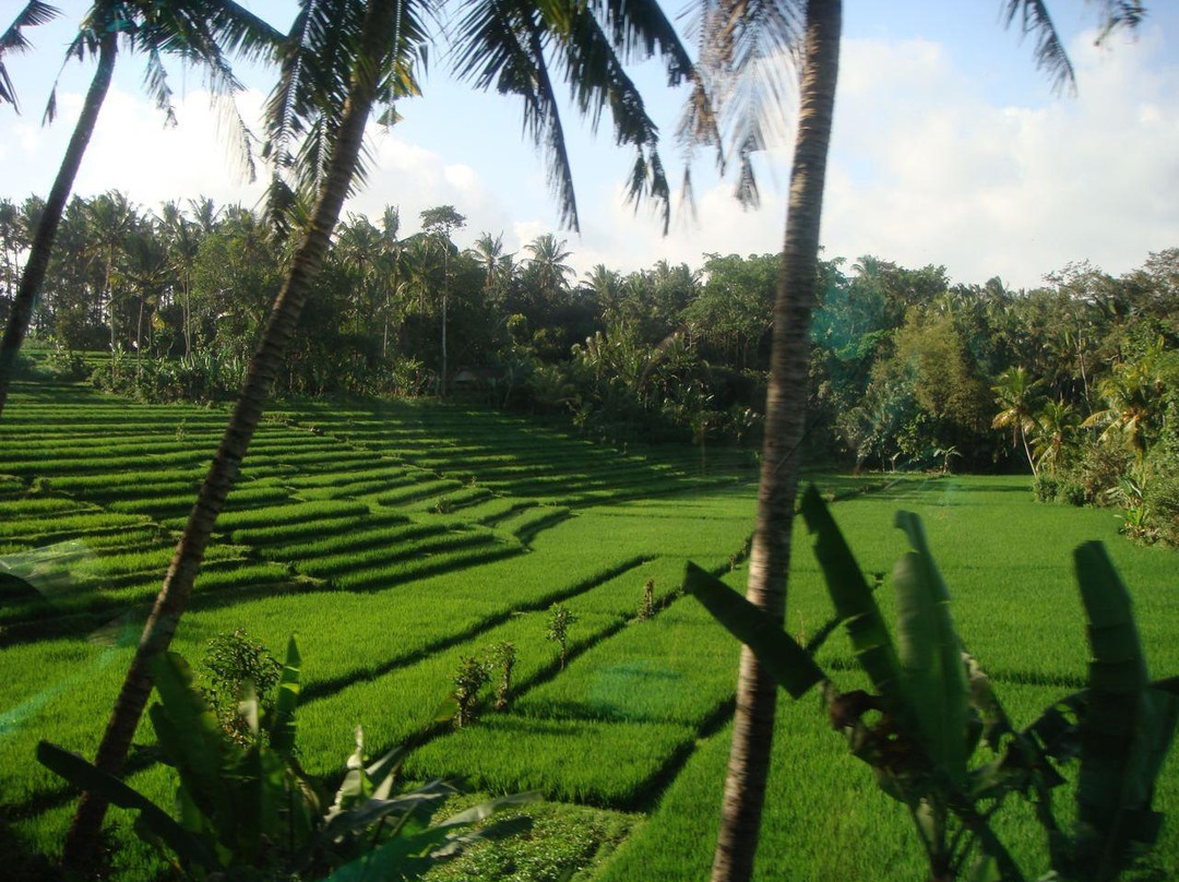 Tabanan Cycling-达巴南必去景点