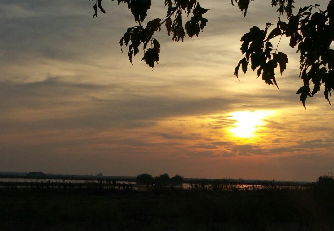 Isenberg Crane Reserve-洛迪必去景点
