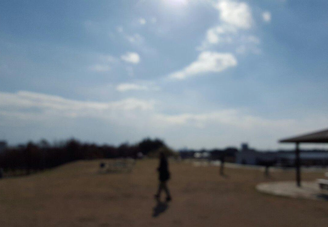 Yamato Yutori no Mori景点图片