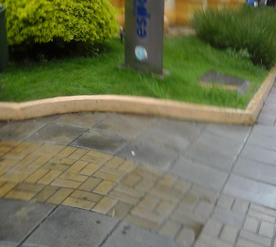 Museu de Esportes景点图片