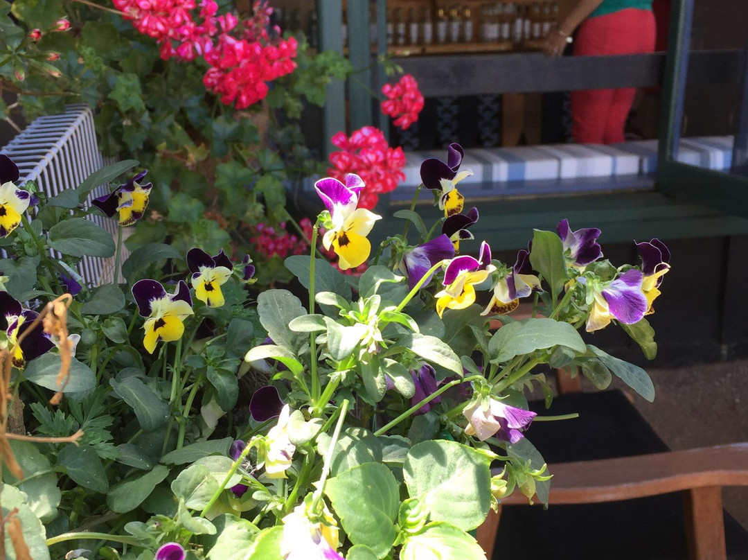 Dellows Waiheke主图