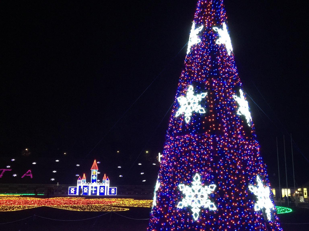 Ota Illumination-太田市必去景点