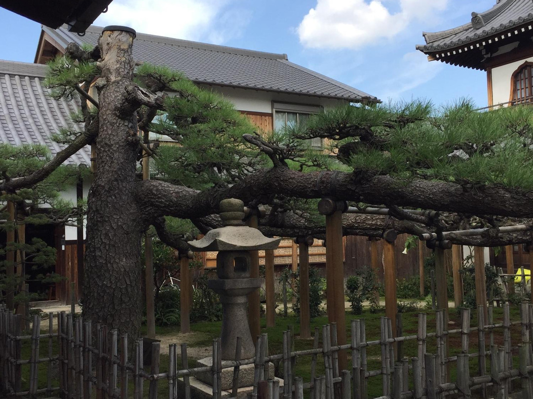 Saifukuji Temple-丰中市必去景点